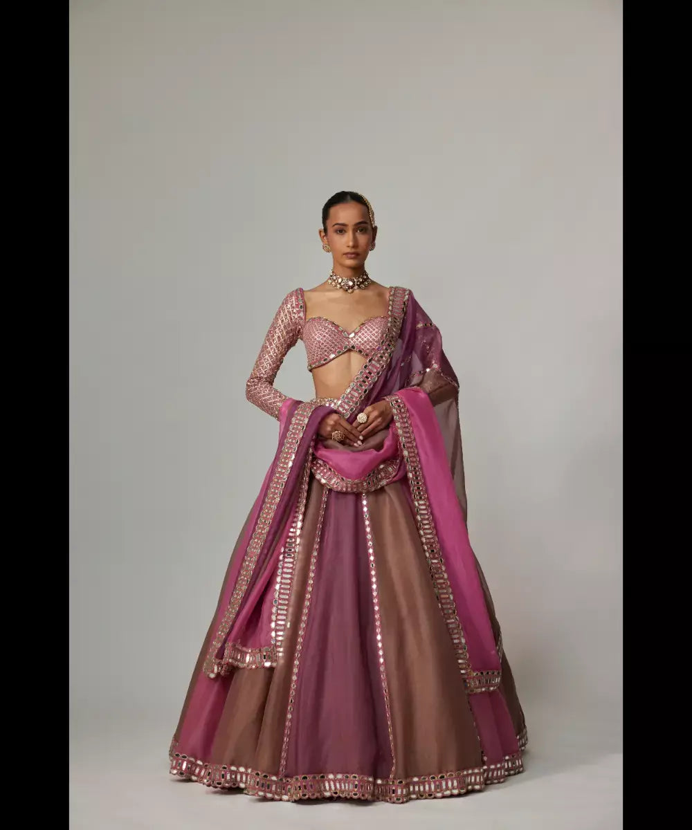 VVANI VATS - Mud mauve multicolor Lehenga with sweetheart Full Sleeve Blouse